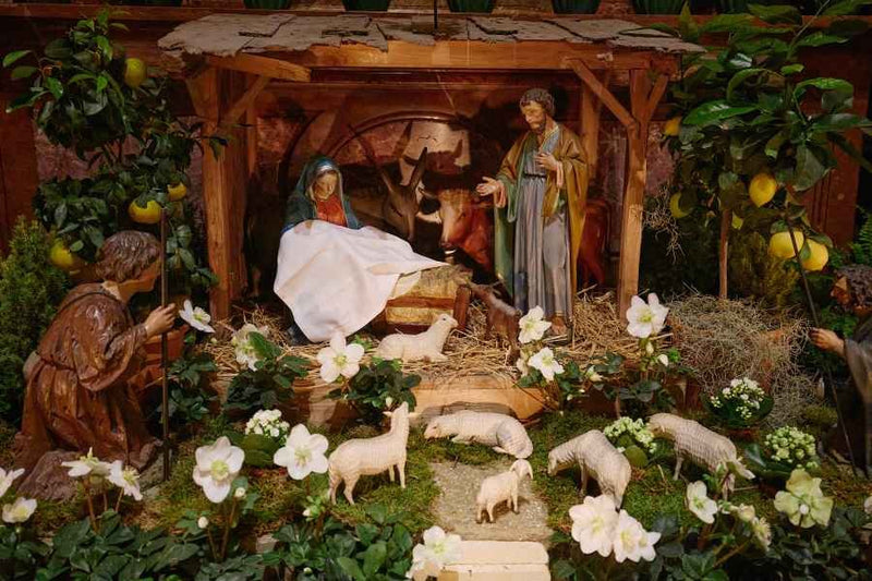 Musicians and singer performing in front of altar decorated for Christmas